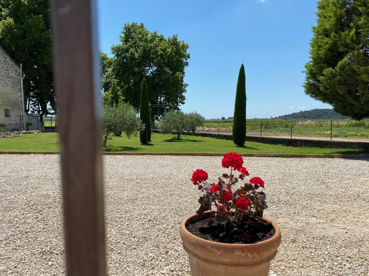 Le Domaine De Laforest Fontvieille Bagian luar foto
