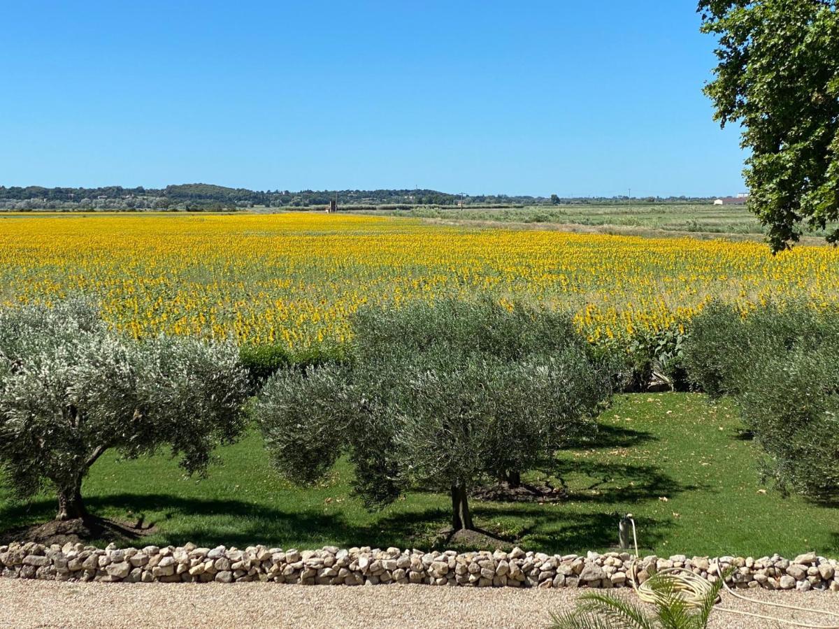 Le Domaine De Laforest Fontvieille Bagian luar foto