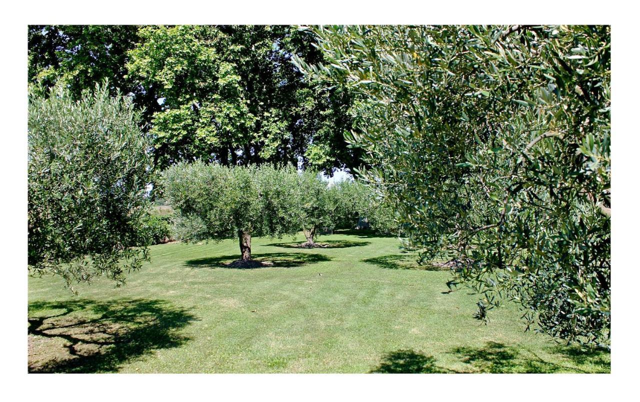 Le Domaine De Laforest Fontvieille Bagian luar foto