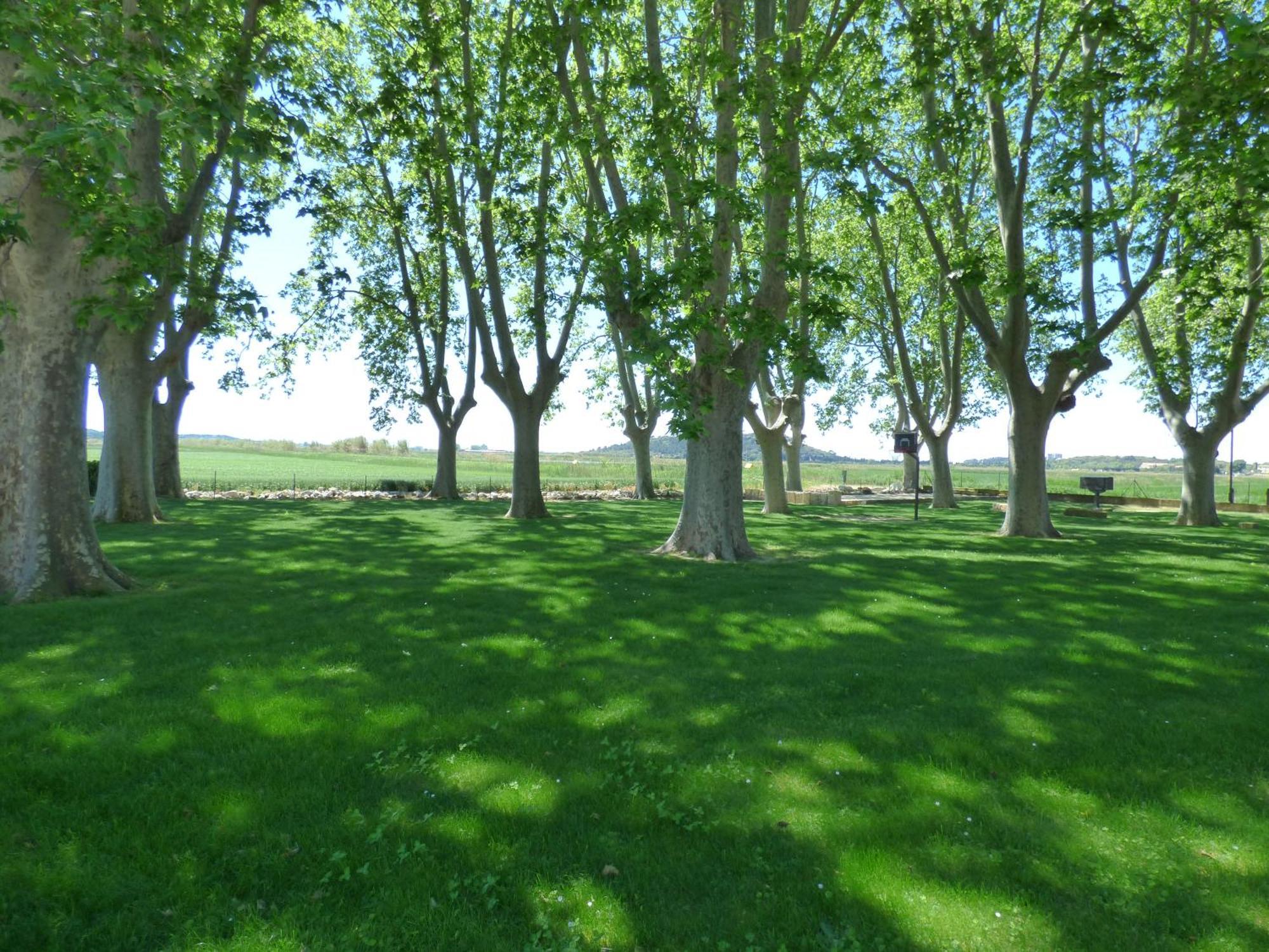 Le Domaine De Laforest Fontvieille Bagian luar foto