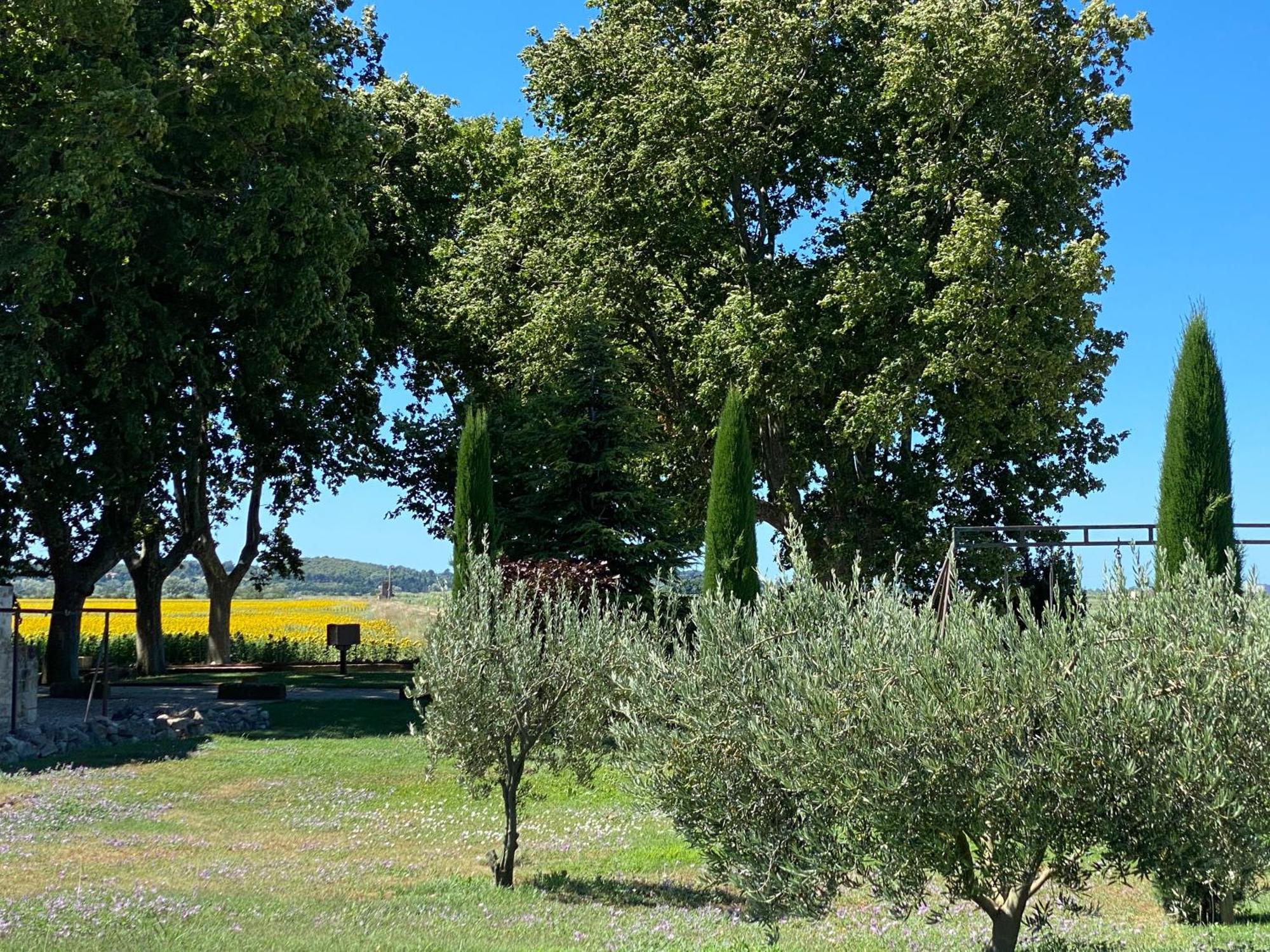Le Domaine De Laforest Fontvieille Bagian luar foto