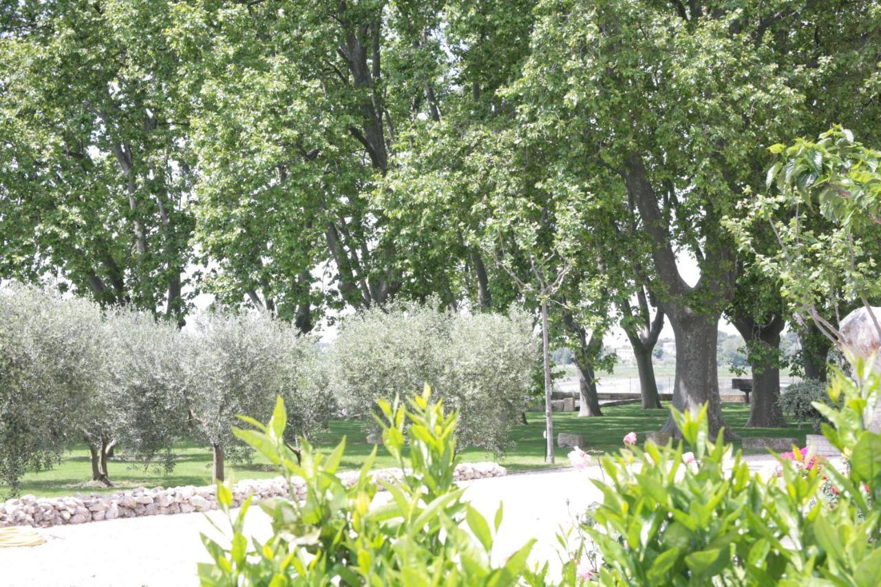 Le Domaine De Laforest Fontvieille Bagian luar foto