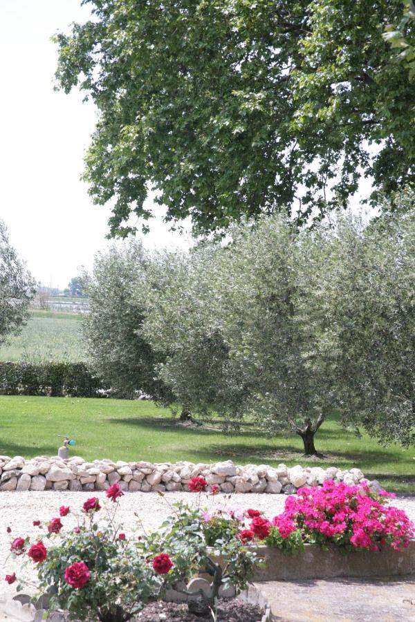Le Domaine De Laforest Fontvieille Bagian luar foto